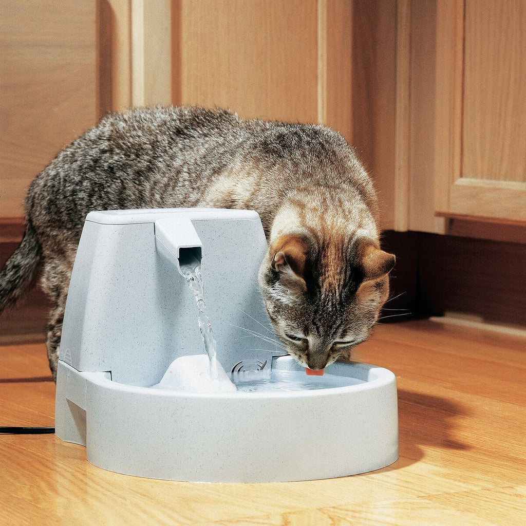 La Fontaine de Jouvence – Fontaine à Eau PetSafe 1,5 L · Chien & Chat