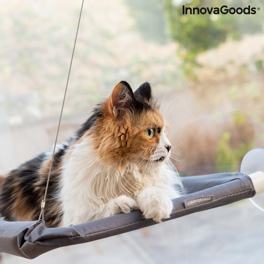 Le Perchoir Royal – Hamac de Radiateur · Chat