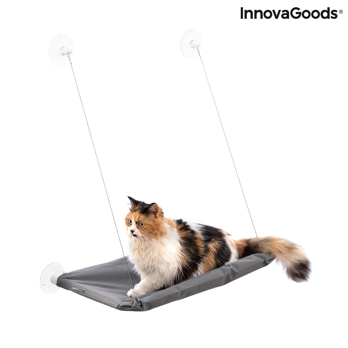 Le Perchoir Royal – Hamac de Radiateur · Chat