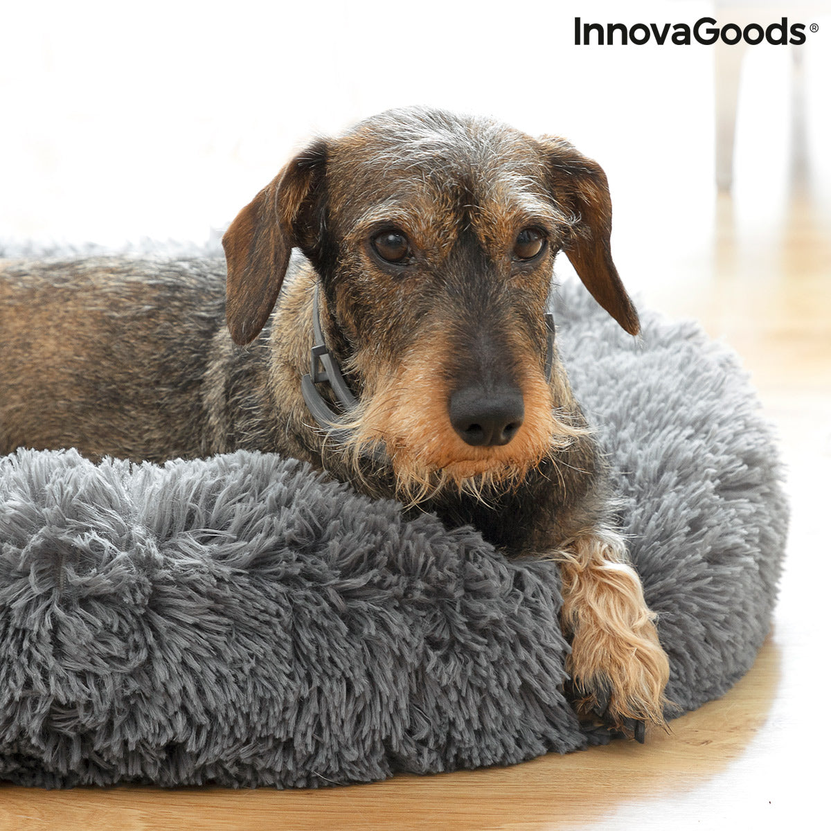 Le Cocon Royal – Panier Apaisant Anti-Stress · Chat & Petit Chien (Ø 60 cm)