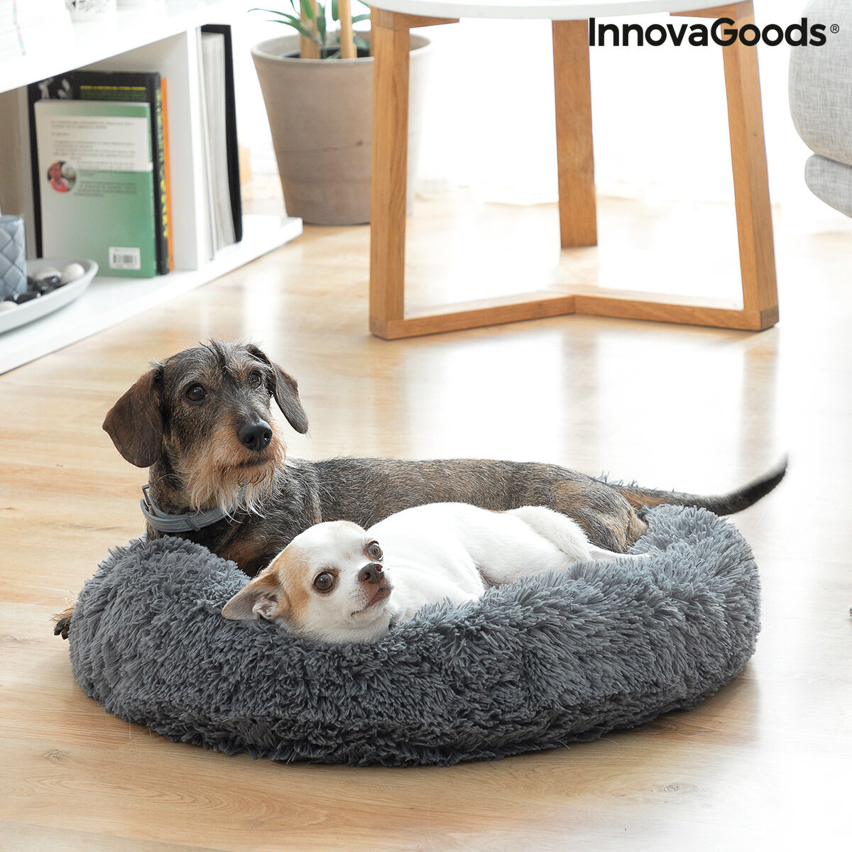 Le Cocon Royal – Panier Apaisant Anti-Stress · Chat & Petit Chien (Ø 60 cm)