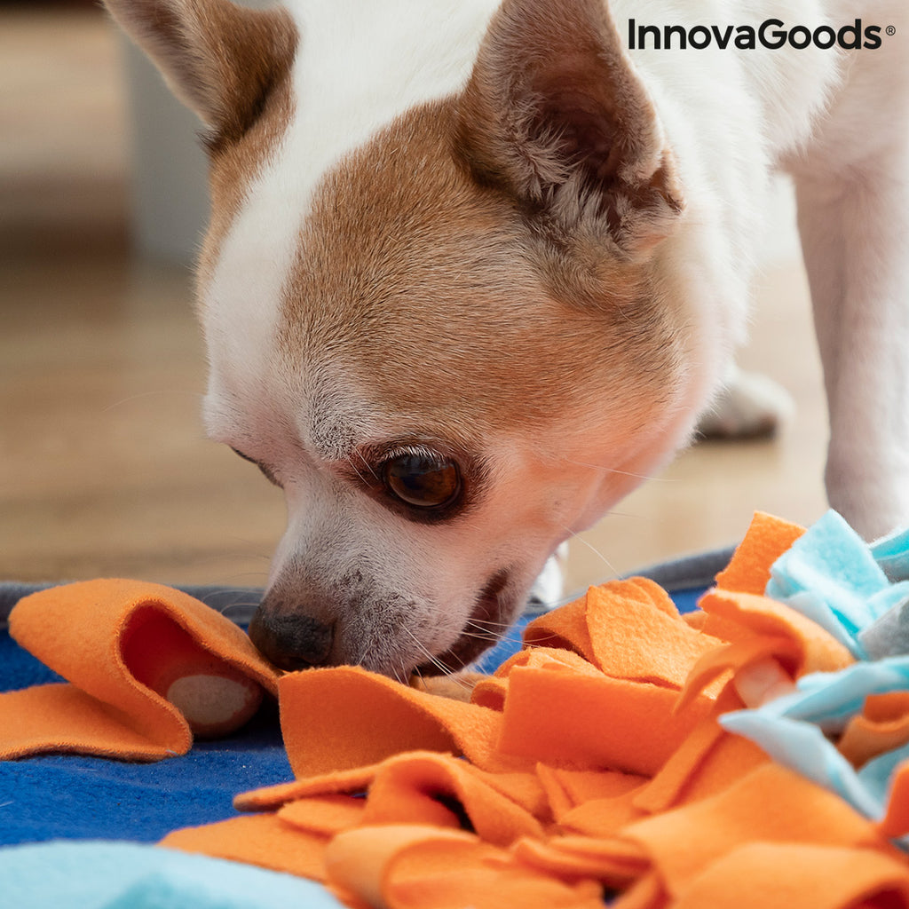 Le Tapis d'Éveil – Tapis de Fouille & Stimulation · Chien & Chat