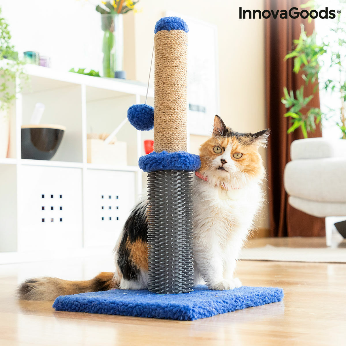 Le Griffoir Câlin – Griffoir, Massage & Jeu · Chat