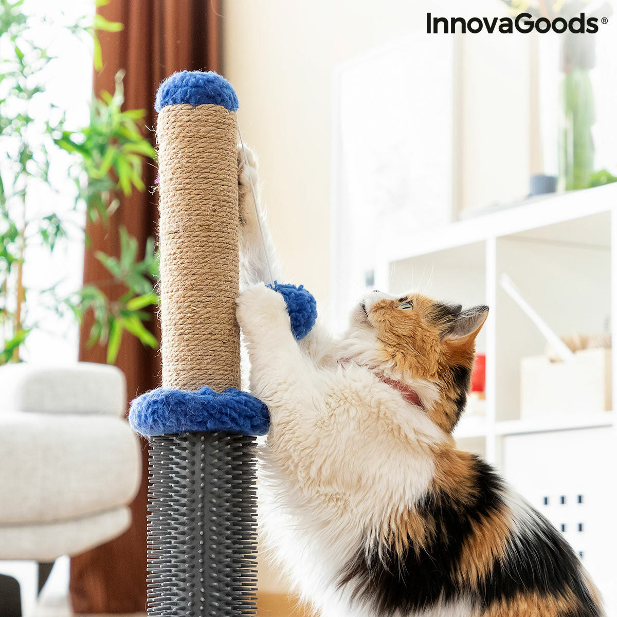 Le Griffoir Câlin – Griffoir, Massage & Jeu · Chat