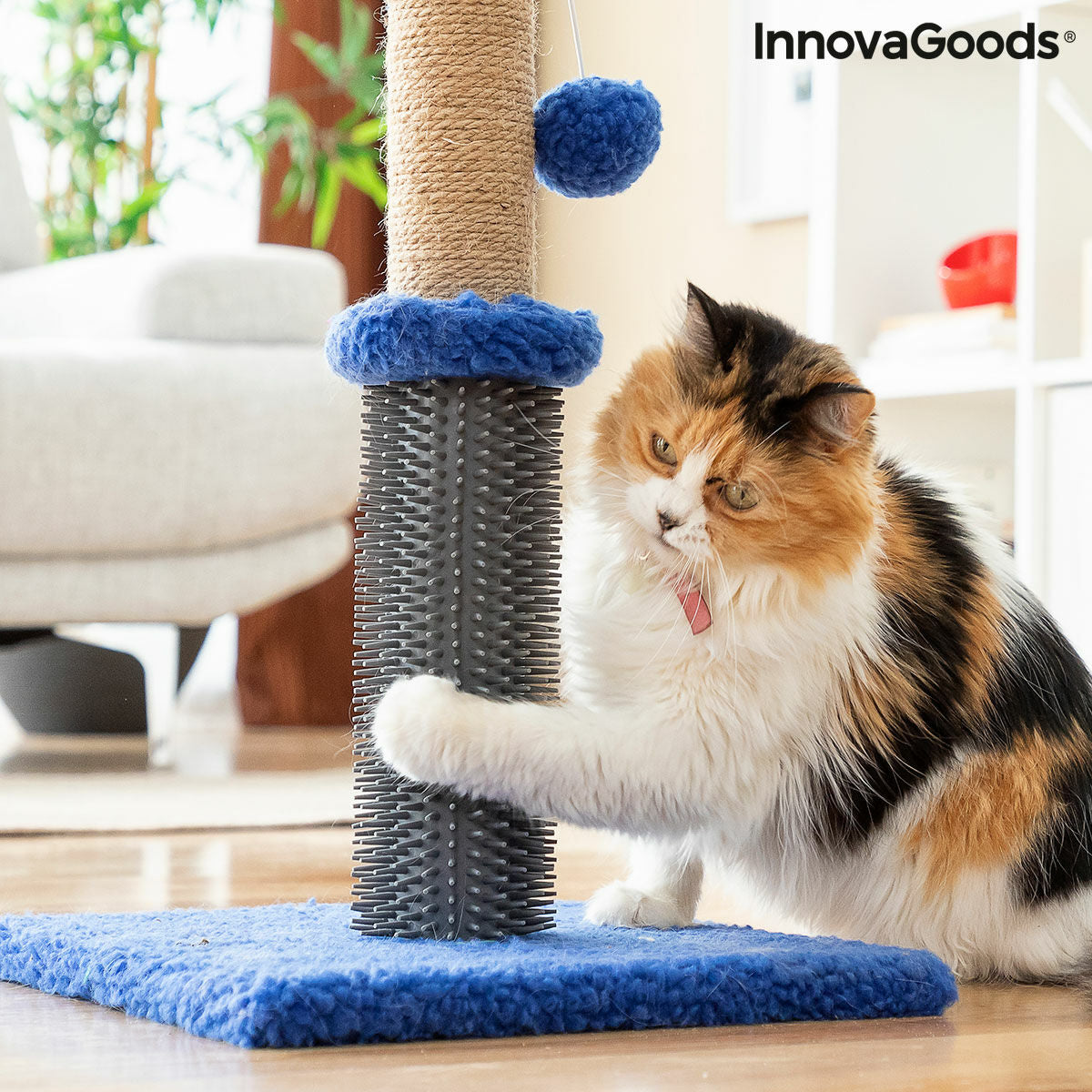 Le Griffoir Câlin – Griffoir, Massage & Jeu · Chat