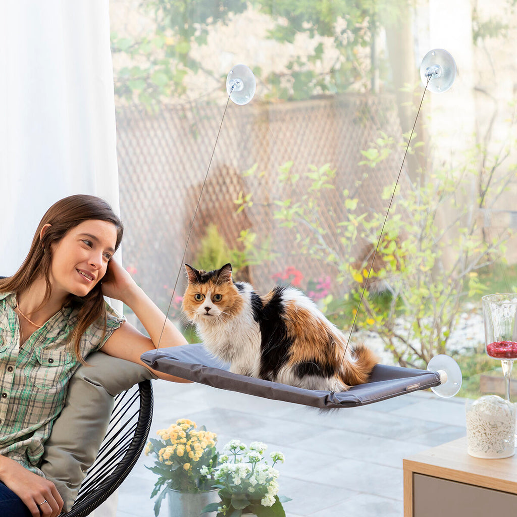 Le Perchoir Royal – Hamac de Radiateur · Chat