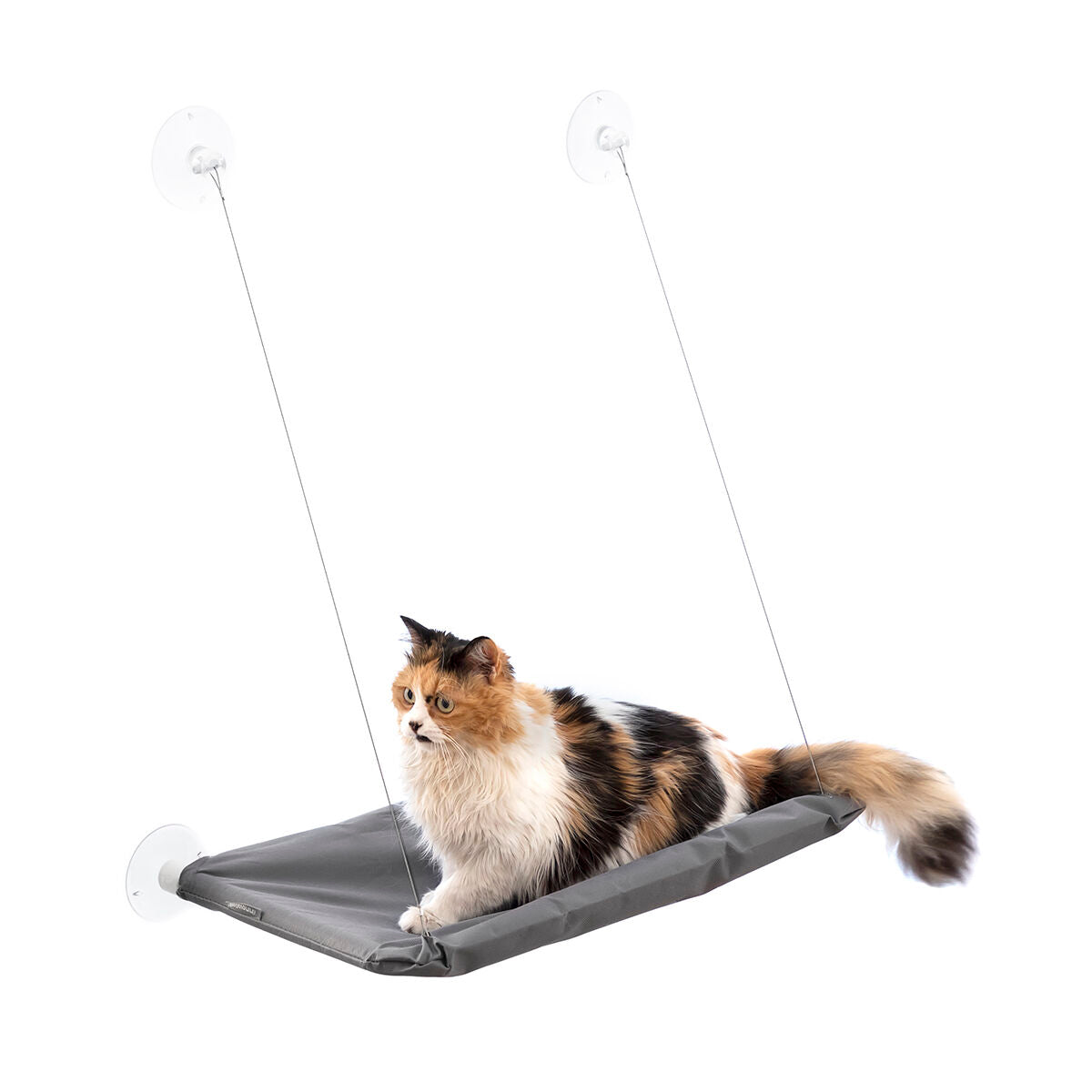 Le Perchoir Royal – Hamac de Radiateur · Chat