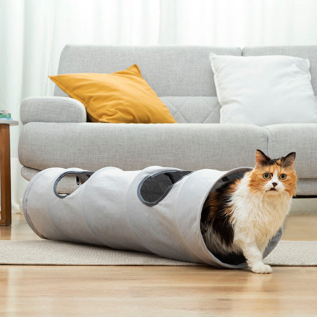 Le Tunnel des Merveilles – Tunnel de Jeu Pliable · Chat & Petit Chien