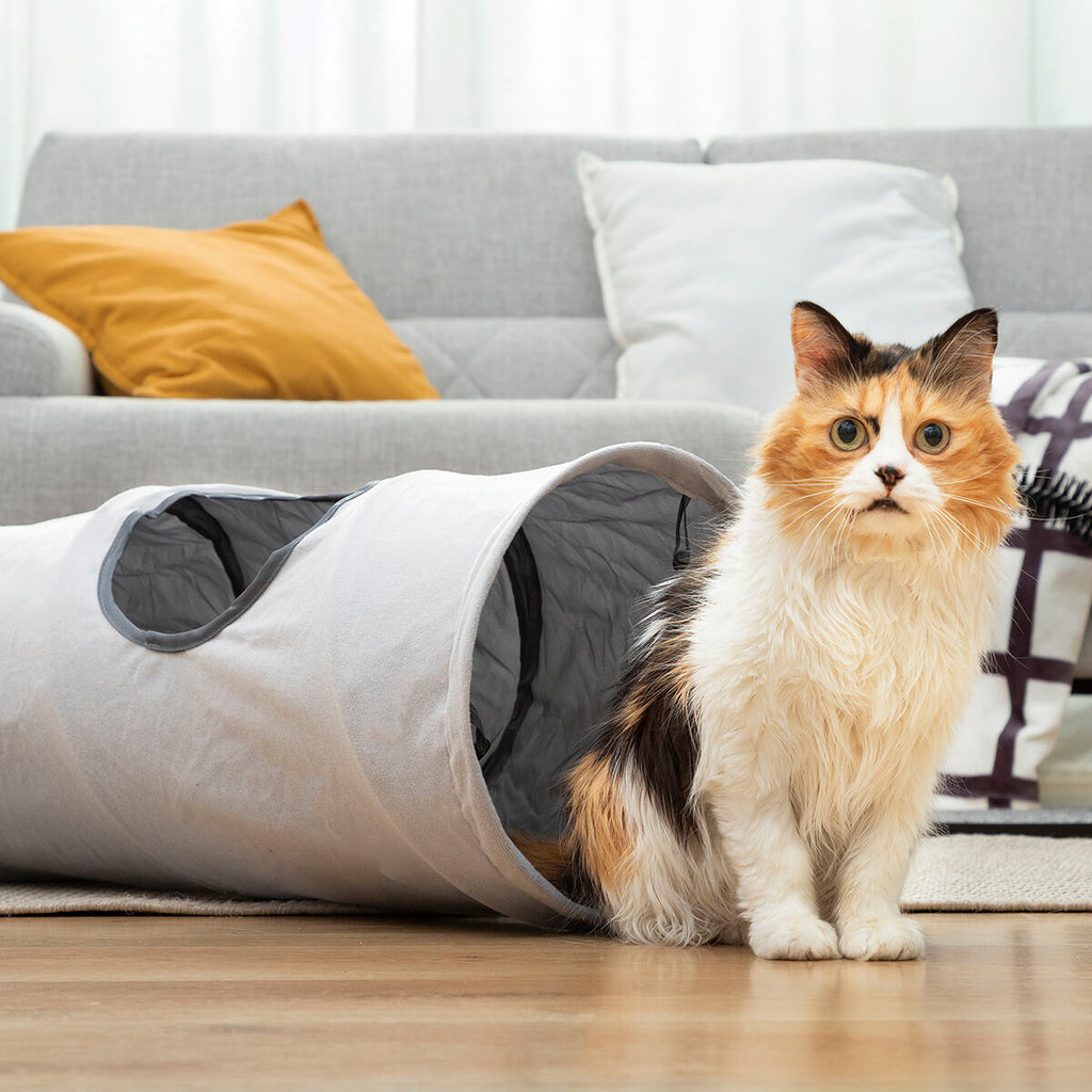 Le Tunnel des Merveilles – Tunnel de Jeu Pliable · Chat & Petit Chien