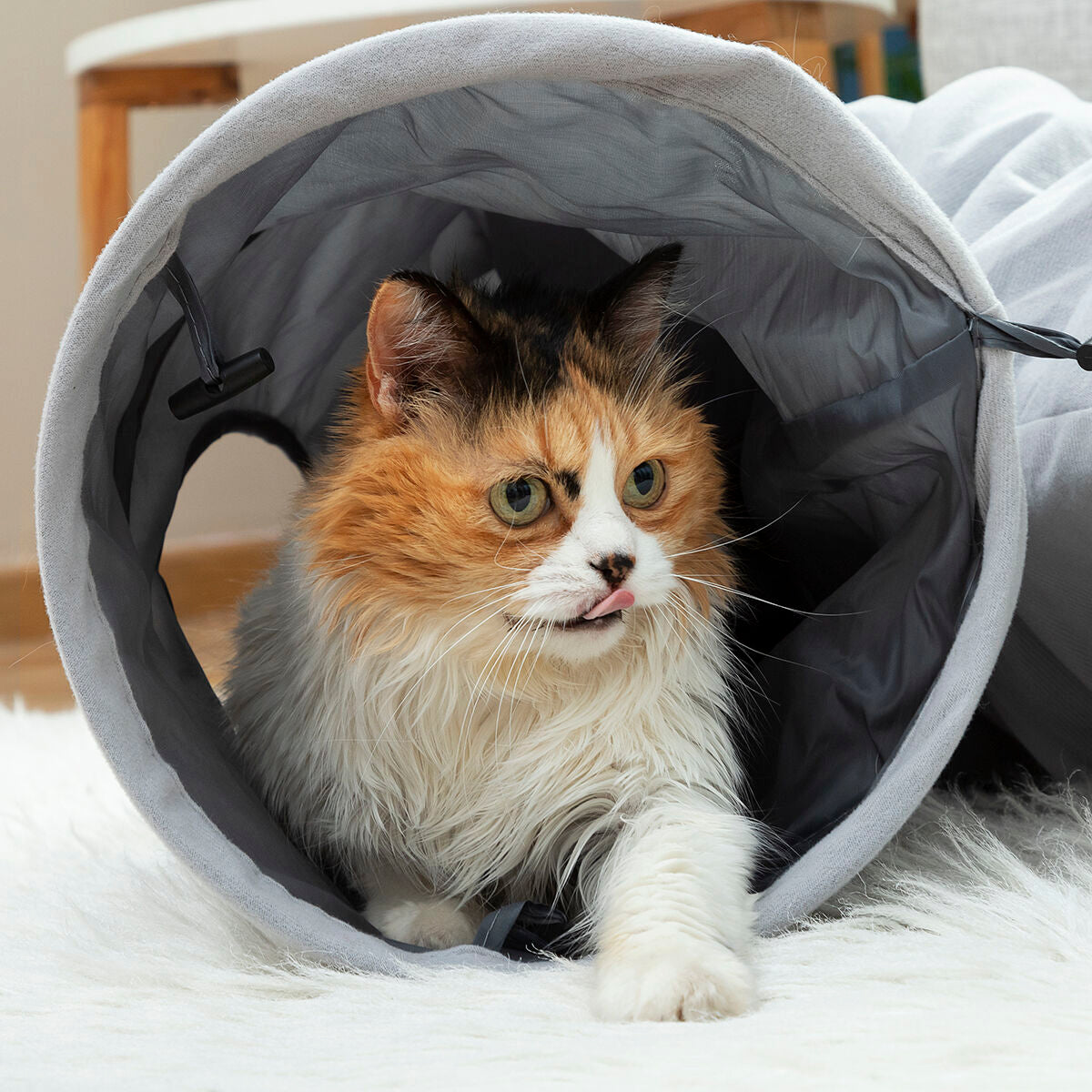 Le Tunnel des Merveilles – Tunnel de Jeu Pliable · Chat & Petit Chien