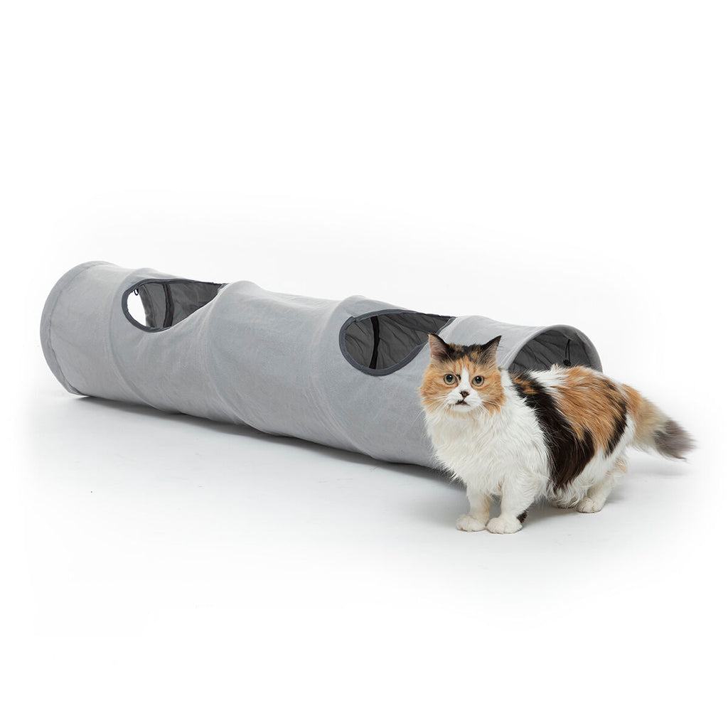 Le Tunnel des Merveilles – Tunnel de Jeu Pliable · Chat & Petit Chien