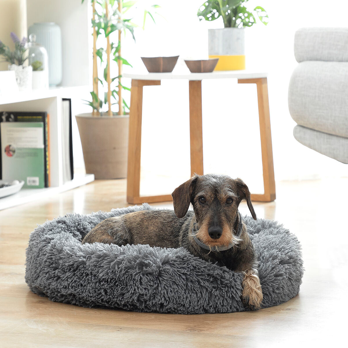 Le Cocon Royal – Panier Apaisant Anti-Stress · Chat & Petit Chien (Ø 60 cm)