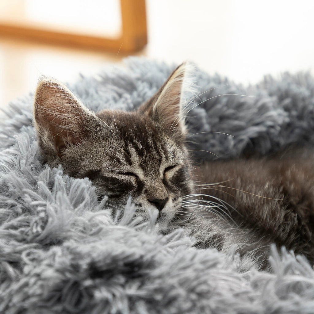 Le Cocon Royal – Panier Apaisant Anti-Stress · Chat & Petit Chien (Ø 60 cm)