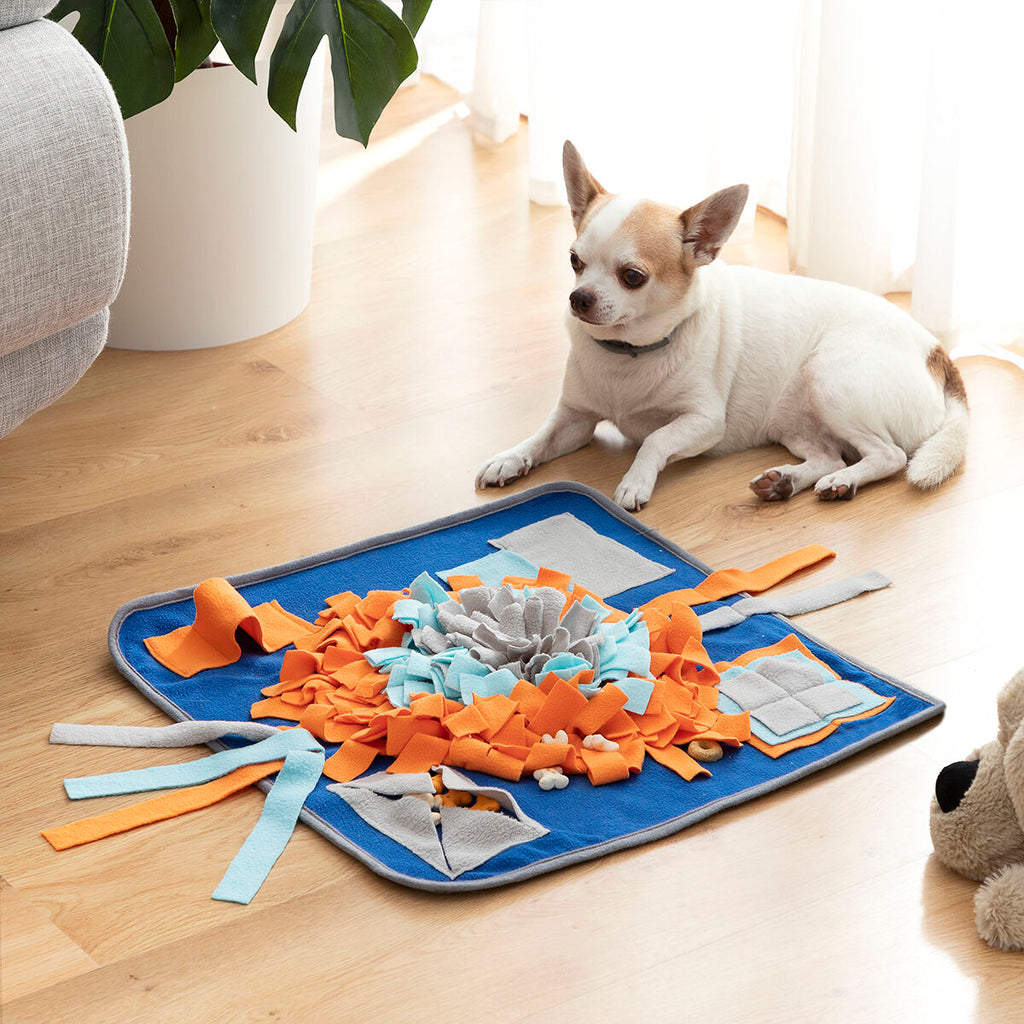 Le Tapis d'Éveil – Tapis de Fouille & Stimulation · Chien & Chat