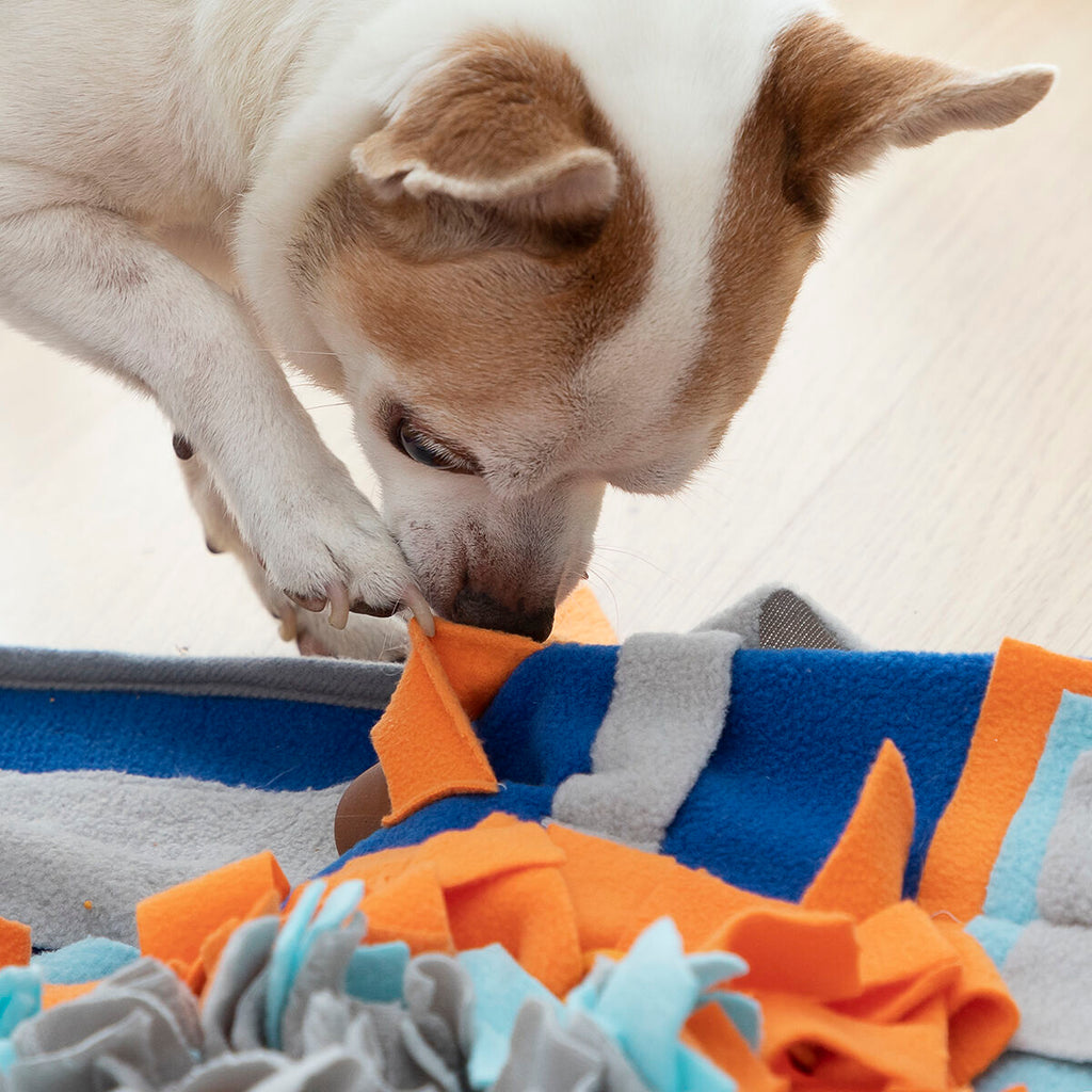 Le Tapis d'Éveil – Tapis de Fouille & Stimulation · Chien & Chat