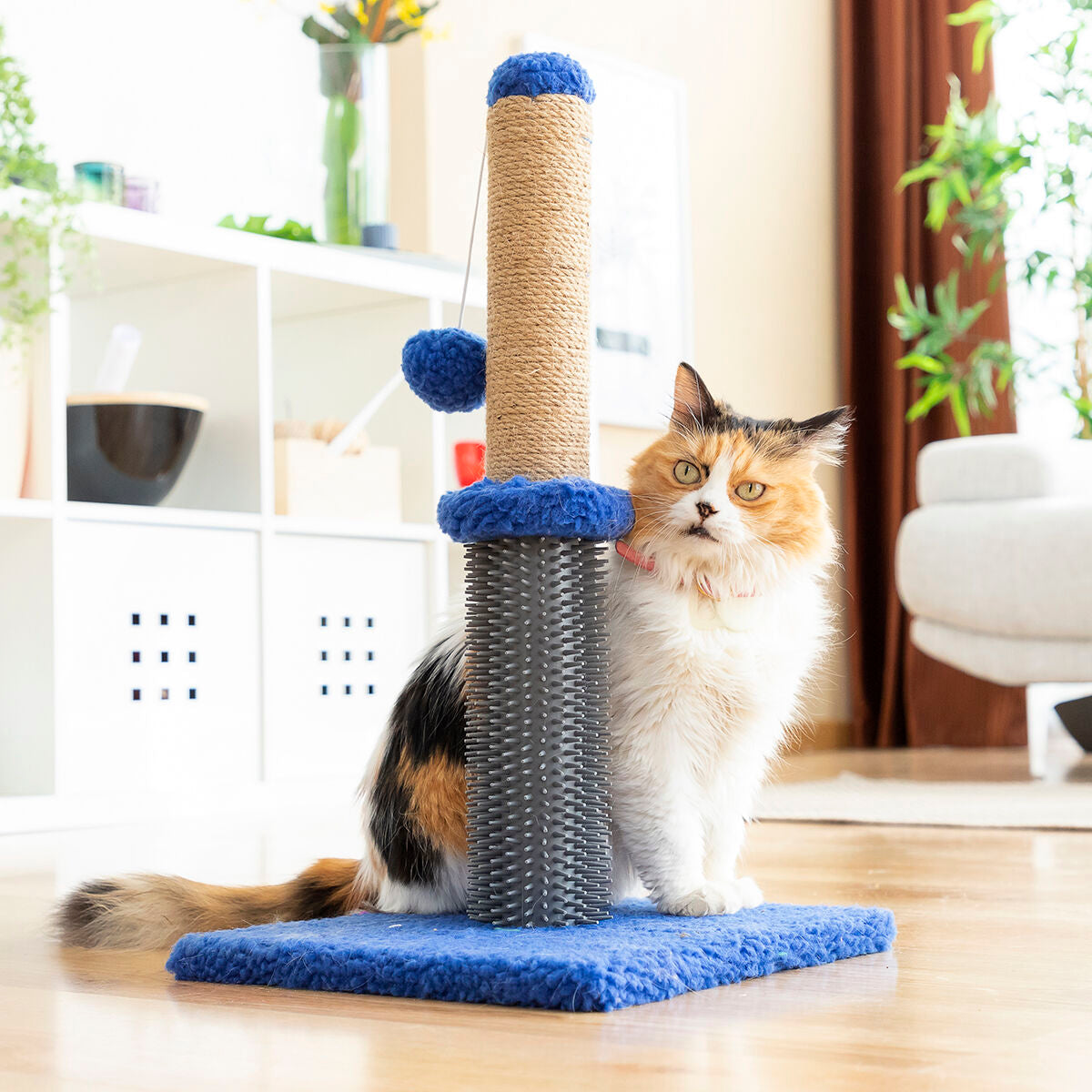 Le Griffoir Câlin – Griffoir, Massage & Jeu · Chat