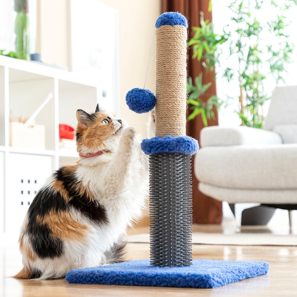 Le Griffoir Câlin – Griffoir, Massage & Jeu · Chat