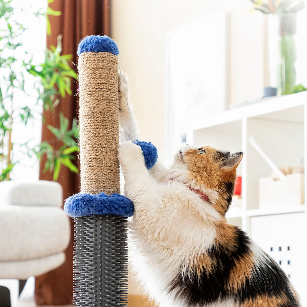 Le Griffoir Câlin – Griffoir, Massage & Jeu · Chat