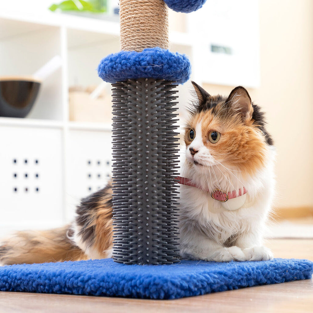 Le Griffoir Câlin – Griffoir, Massage & Jeu · Chat
