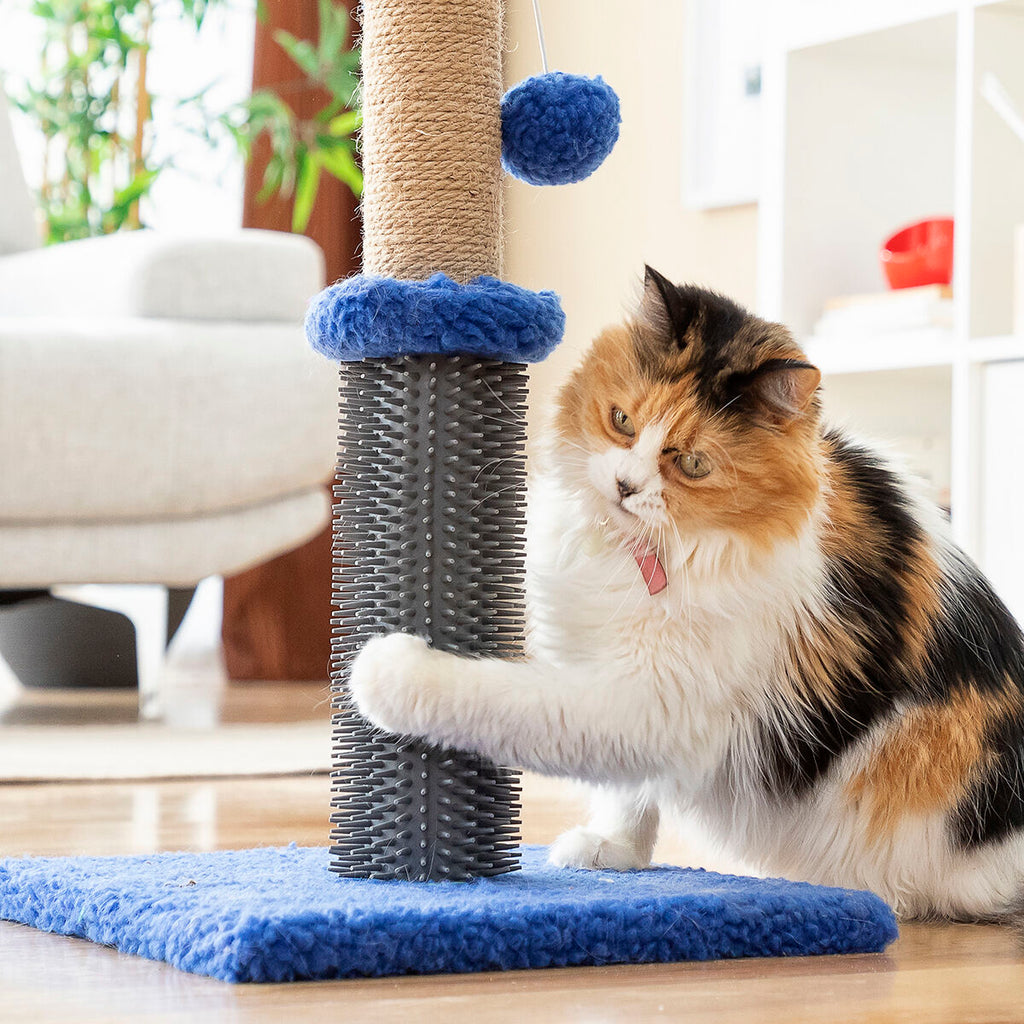 Le Griffoir Câlin – Griffoir, Massage & Jeu · Chat