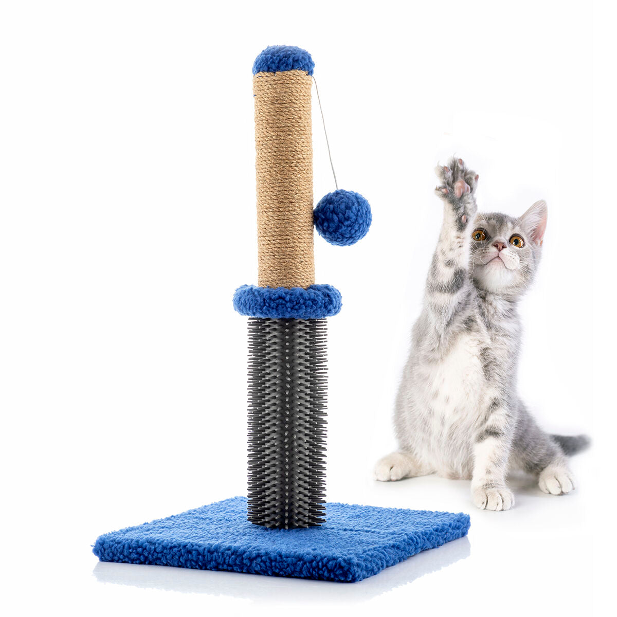 Le Griffoir Câlin – Griffoir, Massage & Jeu · Chat